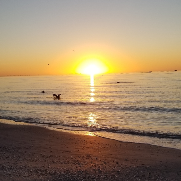 Meet your Posher, Nicki - Picture 2 of 2